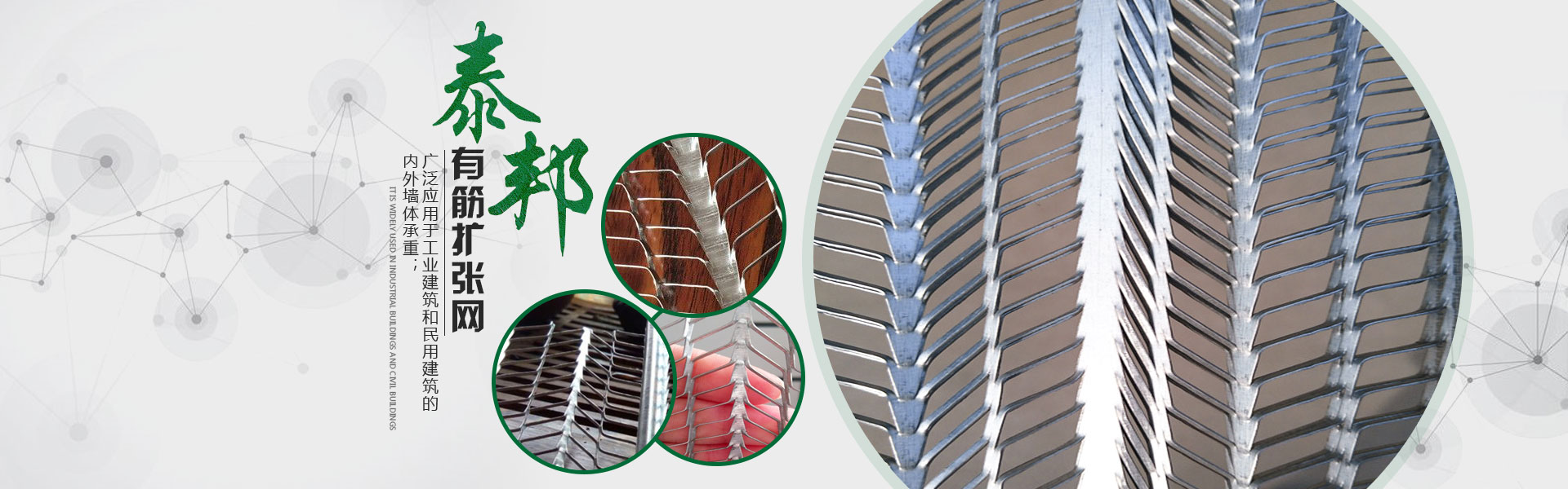 有筋擴(kuò)張網(wǎng)